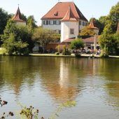 Blutige Biberattacke