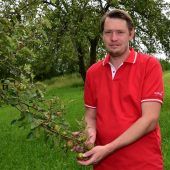 Die Renaissance der Streuobstwiesen