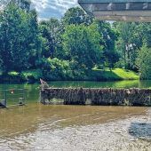 Falsche Schwedenreiter an der Mangfall