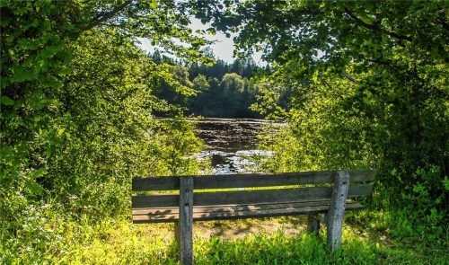 Am Weiher an der Moosmühle lädt eine Bank zur Rast ein.