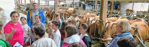 Auf dem „Kronecker Hof“ erläuterte Landwirtin Christa Berger den Miniköchen, dem DEHOGA-Oberbayern-Geschäftsführer Thomas Quiram und Realschul-Studienrätin Heidi Nordmann (von links) die Milchviehhaltung. Fotos baumann