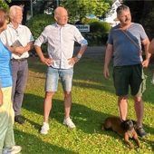 Drei Frässtreifen werden zum Insekten-Paradies