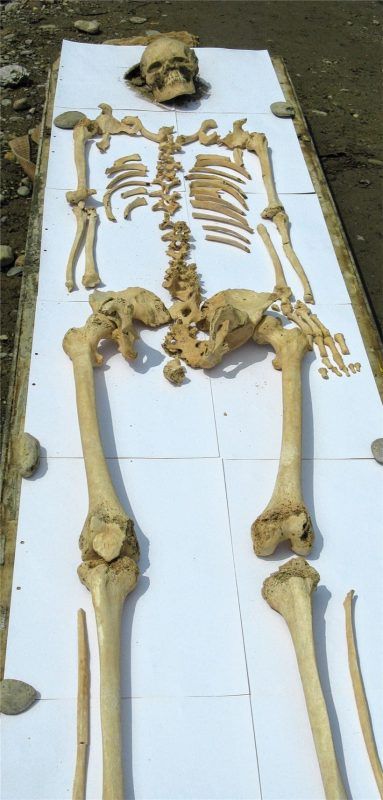 Das Skelett bei einer Präsentation während der Grabung. Foto Steffan