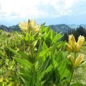 Maßnahmen im Umfang von über einer Million Euro umgesetzt