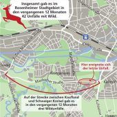 Erneut Wildunfall im Stadtgebiet