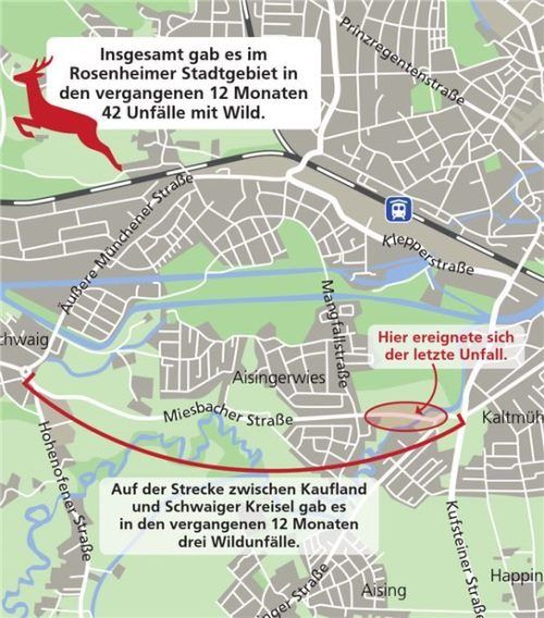 Die Grafik zeigt, wo sich in den vergangenen Monaten im Stadtgebiet die Wildunfälle ereigneten. Besonders betroffen: die Miesbacher Straße. Klinger