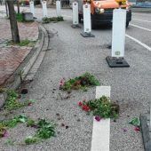 „Ich verstehe nicht, wie man so etwas machen kann“