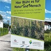 Insekten-Paradies vor dem Paulusheim