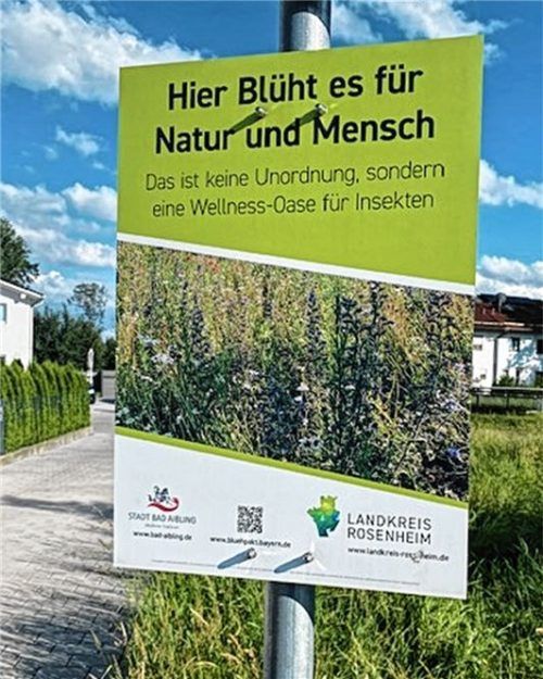 Die Hinweistafel an der Willinger Straße erklärt die Wellness-Oase. Fotos Astrid Kotter