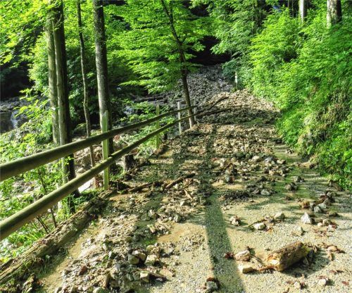 Die Wege in Richtung Hohe Asten und Petersberg wurden durch das Unwetter schwer getroffen. Foto Steffenhagen
