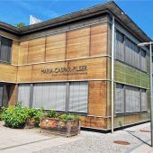 Ängste und Aggression nehmen zu