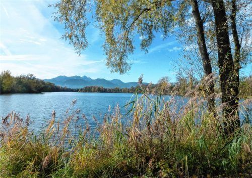 Entsteht am Ufer des Happinger Sees ein Hotel? Viele Bürger wollen das nicht.Foto Bund Naturschutz
