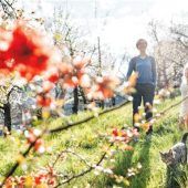 Perfektes Urlaubserlebnis für die ganze Familie
