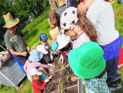 Groß und Klein beim gemeinsamen Pflanzen. Foto Re