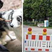 Autofahrer beschimpft und angegriffen