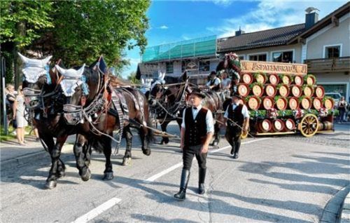 Immer ein Blickfang beim Einzug: das Pferdegespann der Spaten-Brauerei.