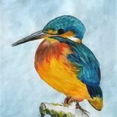 Aquarelle und Naturfotografien