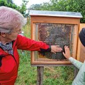 Blick in die faszinierende Welt der Bienen