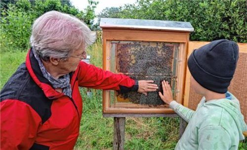 Jungimker Florian erklärt dieser Besucherin die Welt der Bienen. Anschaulich und kompetent.Foto Stache