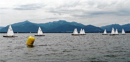 Mit Alpenpanorama im Hintergrund: die Plättenregatta auf der Fraueninsel. Foto Gerhard Niessen