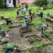 Aus dem Dornröschenschlaf erwacht