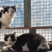 Abby und Murphy wollen zusammen bleiben