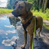 Prinzessin Penny sucht neues Schloss