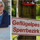 Sorgen wegen Vogelgrippe