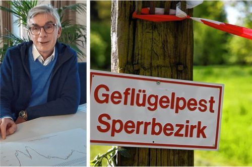 Rät zur Wachsamkeit angesichts der Geflügelpest: Gesundheitsamtschef Dr. Wolfgang Hierl. Fotos Michael Weiser/dpa