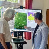 Der Wetterfrosch des Sommerfestivals