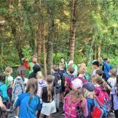 Dem Springkraut zu Leibe gerückt