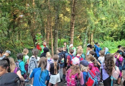 Springkrautaktion beim Tonwerkweiher.Foto re