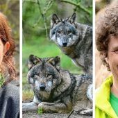 Wolfsverordnung vor Abschuss