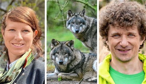 „Wir sehen in Bayern keinen Platz für den Wolf“, sagt Dr. Tanja Sigl, Vorsitzende des Traunsteiner Bauernverbandes (links). Sie wird sich mit dem Beutegreifer jedoch wohl arrangieren müssen, denn die bayerische Wolfsverordnung steht zur Freude von Uwe Friedel vom Bund Naturschutz vor dem Aus. Fotos Bauernverband Traunstein/DPA/Friedel