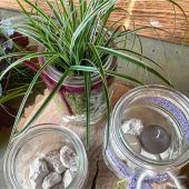 Jetzt kommt der Sommer auf den Tisch