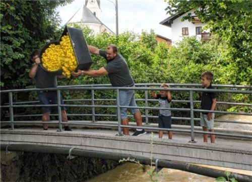 1650 Enten lieferten sich spannende Wildwasserrennen im Aubach.