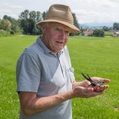 Ein großes Herz für einen kleinen Mauersegler