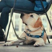 Doku ohne „Wau“-Effekt