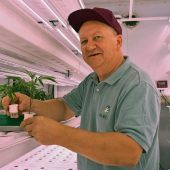 Cannabis aus dem Container