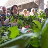 Gutes Jahr für Hopfenbauern