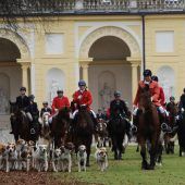 Parforce-Vorführung der Jäger