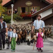 Almabtrieb: Die Tiere kehren heim ins Tal