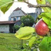Termine fürdie Apfelpresse
