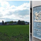 „Paragraf 246 ist klärungsbedürftig“