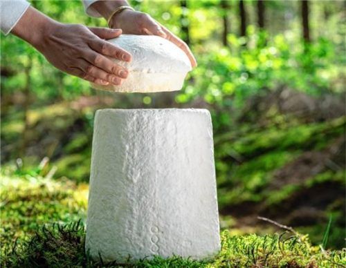 Aus der Natur, in die Natur: eine Urne aus Pilzgeflecht. Foto Loop Biotech