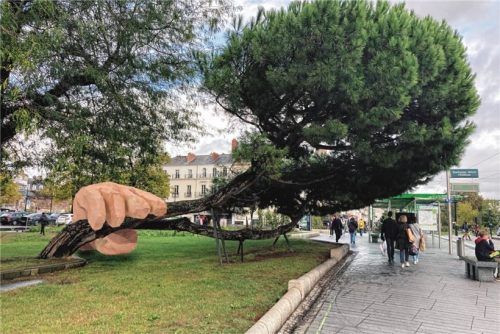 Bäume stehen im Zentrum des diesjährigen Kunstfestivals. Foto Max Coulon