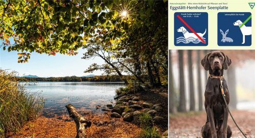 Der Hartsee im Naturschutzgebiet der Eggstätt-Hemhofer-Seenplatte: Auf einem Rundweg dürfen Wanderer ihn zwar erleben, doch es gelten klare Regeln. Eine davon: Hunde gehören an die Leine. Foto Pia Steen / Landratsamt Rosenheim / Pixabay (Rebecca Scholz)