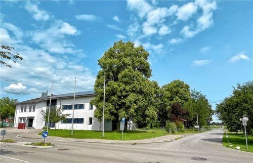 Die gesetzlich vorgeschriebene Ganztagesbetreuung ist der Auslöser für umfangreiche Planungs- und künftige Bauarbeiten an der Südseite (rechts an dem Bestandsgebäude) der Göttinger Grundschule. Für den erforderlichen Erweiterungsbau müssen einige der alten Bäume (Bildmitte) weichen.Foto Neuwirth
