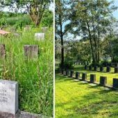 Friedhof-Kritik stößt Stadt sauer auf