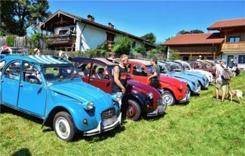 Die vielen bunten Enten boten ein fröhliches Bild in Törwang.